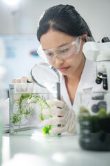 Female scientist examining algae samples in modern laboratory using magnifying glass, conducting biological research for sustainable innovation, renewable energy, and environmental science development