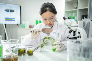 Female scientist examining algae samples in modern laboratory using magnifying glass, conducting biological research for sustainable innovation, renewable energy, and environmental science development