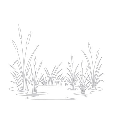 Line Art of Cattails in a Pond, Simple and Serene.