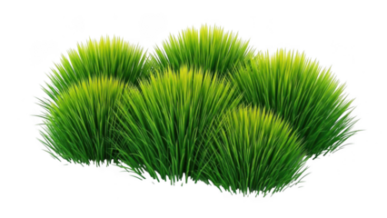Vibrant green grass clumps isolated on transparent background