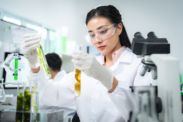 Scientist comparing algae samples in modern laboratory to study renewable bioenergy, biotechnology, and sustainable innovation, support eco-friendly solutions, clean power, and alternative energy.