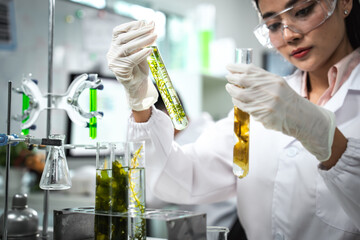 Scientist comparing algae samples in modern laboratory to study renewable bioenergy, biotechnology, and sustainable innovation, support eco-friendly solutions, clean power, and alternative energy.