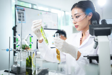 Scientist comparing algae samples in modern laboratory to study renewable bioenergy, biotechnology, and sustainable innovation, support eco-friendly solutions, clean power, and alternative energy.