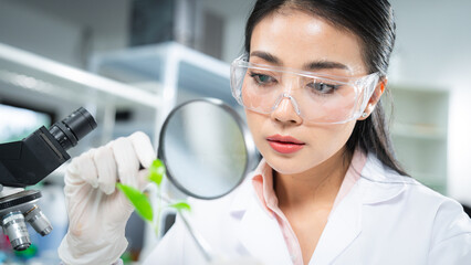 Scientist examining plant samples with magnifying glass in modern laboratory, focusing on plant biology, sustainability , environmental conservation, and innovative eco-friendly scientific solutions.