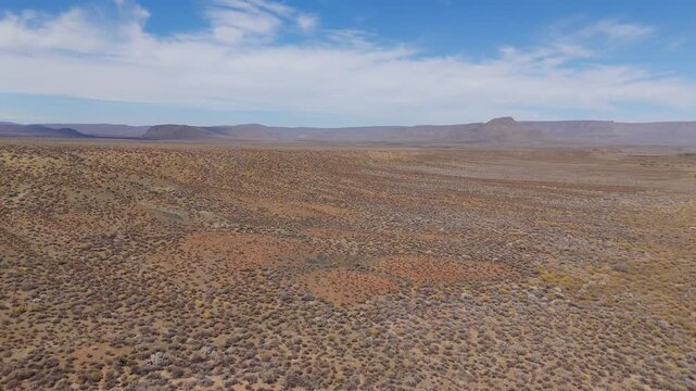 Drone flight above the shrubland of South Africa
