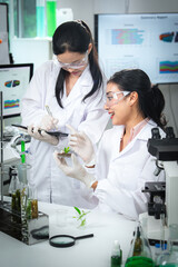 Scientists collaborating on plant research in a modern laboratory, analyzing samples and data for sustainability science, environmental innovation, teamwork, and eco-friendly supporting a sustainable.