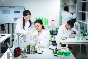 Scientists collaborating on plant research in a modern laboratory, analyzing samples and data for sustainability science, environmental innovation, teamwork, and eco-friendly supporting a sustainable.