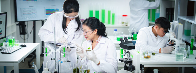 Scientists collaborating on plant research in a modern laboratory, analyzing samples and data for sustainability science, environmental innovation, teamwork, and eco-friendly supporting a sustainable.