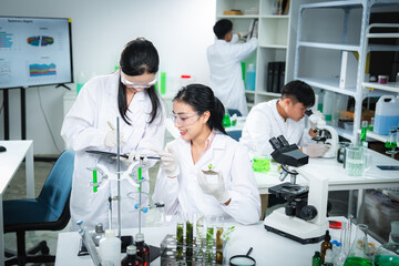 Scientists collaborating on plant research in a modern laboratory, analyzing samples and data for sustainability science, environmental innovation, teamwork, and eco-friendly supporting a sustainable.