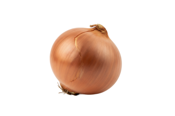 Fresh Yellow Onion: A Culinary Ingredient on a Harmonious Earthy Tone Surface