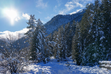 Fototapete bei efototapeten.de bestellen   