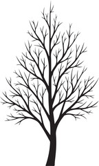 Obraz premium Bare tree silhouette
