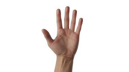 Hand with palm facing forward and fingers spread human hand isolated on a transparent background