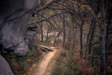 Photos taken in the Great Smoky Mountains National Park on a beautiful and sunny autumn day.