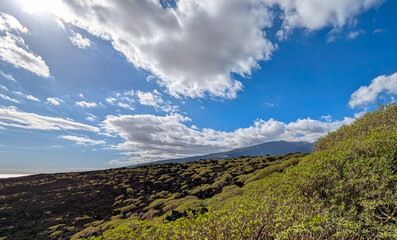 Green Volcanic Landscape Malpais Guimar