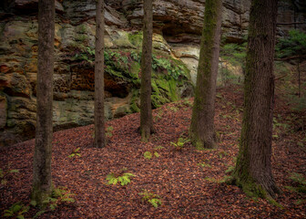 Morning hiking in Hocking Hills Ohio State Park