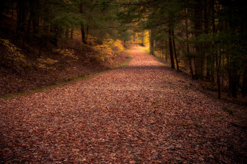 Morning hiking in Hocking Hills Ohio State Park