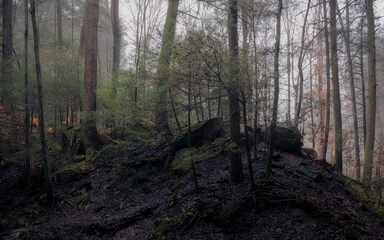 Morning hiking in Hocking Hills Ohio State Park