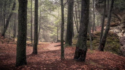 Morning hiking in Hocking Hills Ohio State Park