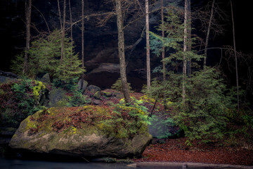 Morning hiking in Hocking Hills Ohio State Park