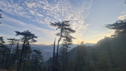 Majestic Mountain Range Towering Behind a Detailed Tree with Bare Branches in a Bright Daylight Landscape Vista