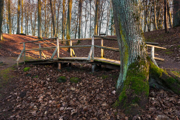 Rustic Wooden Footbridge in a Sunlit Forest Ravine with Mossy Trees