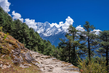 3 passes trekking route between Namche bazaar and Thame villages. Stone paved trail against snowy Kusum Khangkaru peak. Khumbu, Nepal.