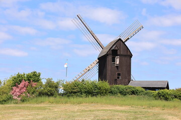 Blick auf die Bockwindm&uuml;hle Pudagla auf der Ostseeinsel Usedom