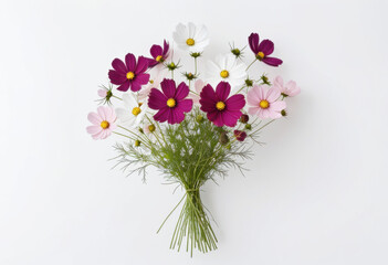 Cosmos bouquet on white background, classic arrangement, elegant composition, natural style