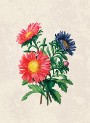 Handmade botanical flower illustration, natural plant art isolated on rustic beige background, decorative floral print.