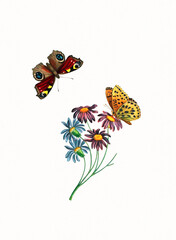 Handmade botanical flower illustration, natural plant art isolated on white watercolor paper background, decorative floral print.