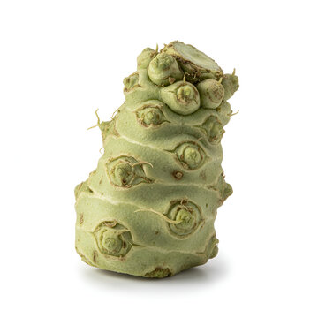 Fresh wasabi root with a rough textured surface, isolated on a white background