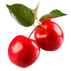 Fresh red crabapple fruits with green leaves, realistic botanical element isolated on transparent background