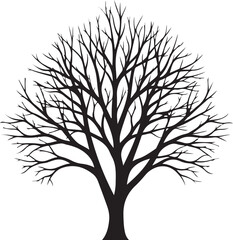 Obraz premium Bare tree silhouette