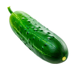 Fresh green cucumber whole vegetable in realistic style isolated on transparent background