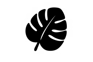 Black monstera leaf silhouette icon representing tropical plants, botanical themes, nature, and jungle decoration, transparent background