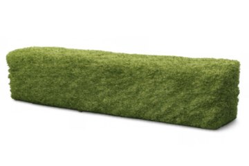 Rectangular green hedge creating a natural barrier or decorative garden element on a transparent background