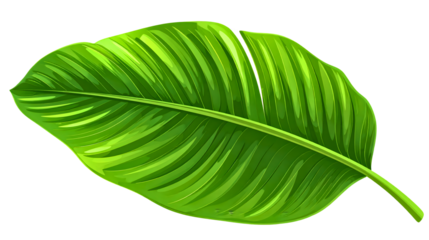 Tropical palm leaf realistic texture, botanical summer theme, isolated on a white background