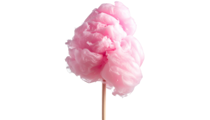 A fluffy, vibrant pink confection on a wooden stick against a stark black backdrop
