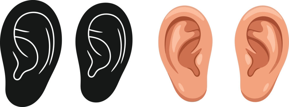 Four human ears in varying styles on transparent background silhouette