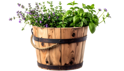 Wooden bucket overflowing with fresh herbs lavender, thyme, and basil, black backdrop