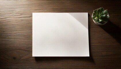 Blank white paper on a wooden desk with a small potted plant.
