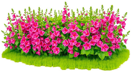 pink and green grass