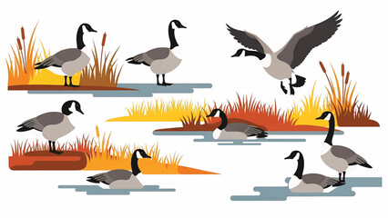 Obraz premium Illustration of several black-necked birds in a wetland environment, with reeds and water. One bird is flying. Other birds sit