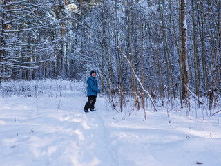 Young Child Walking Along a Snowy Path in a Sunlit Winter Forest - Wintry Woodland Adventure: A Boy in a Blue Jacket Exploring a Snow-Covered Trail