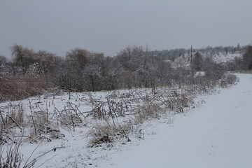 A snowy field with trees