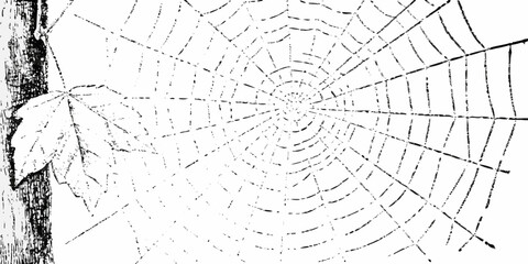 Obraz premium A detailed illustration of a spiderweb with circular patterns and attachment point