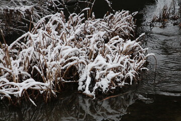 A pile of ice in a body of water