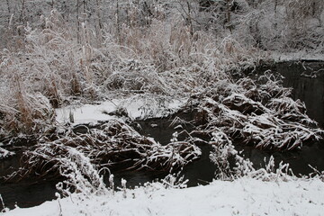 A river with trees and snow