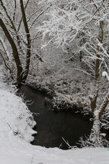 A stream with snow on the trees